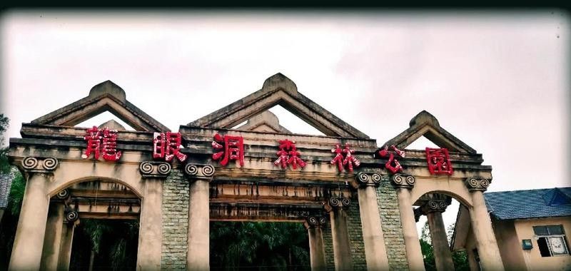 龍漁線適合什么季節去 龍漁線適合什么季節去 龍魚百科 第8張