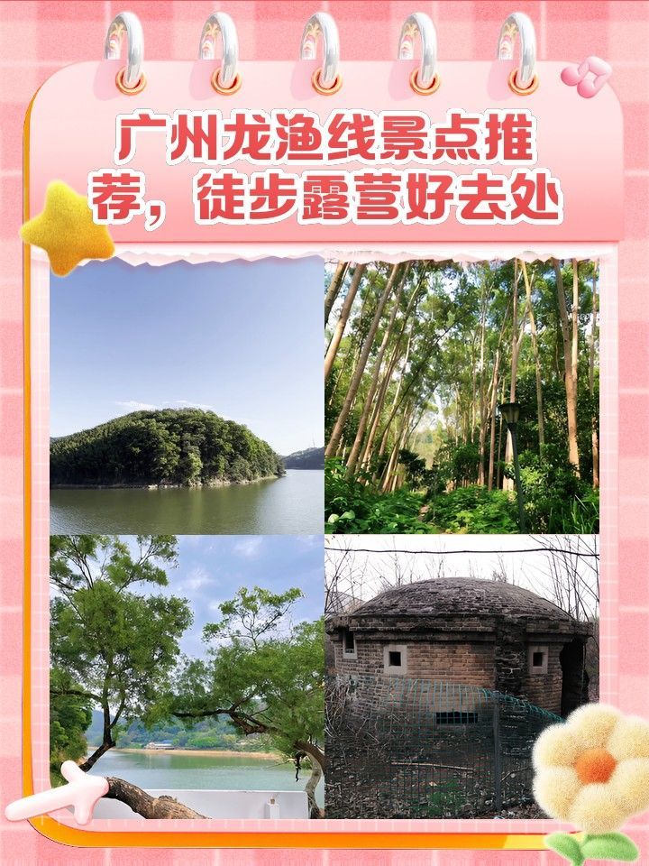 龍漁線適合什么季節去 龍漁線適合什么季節去 龍魚百科 第9張