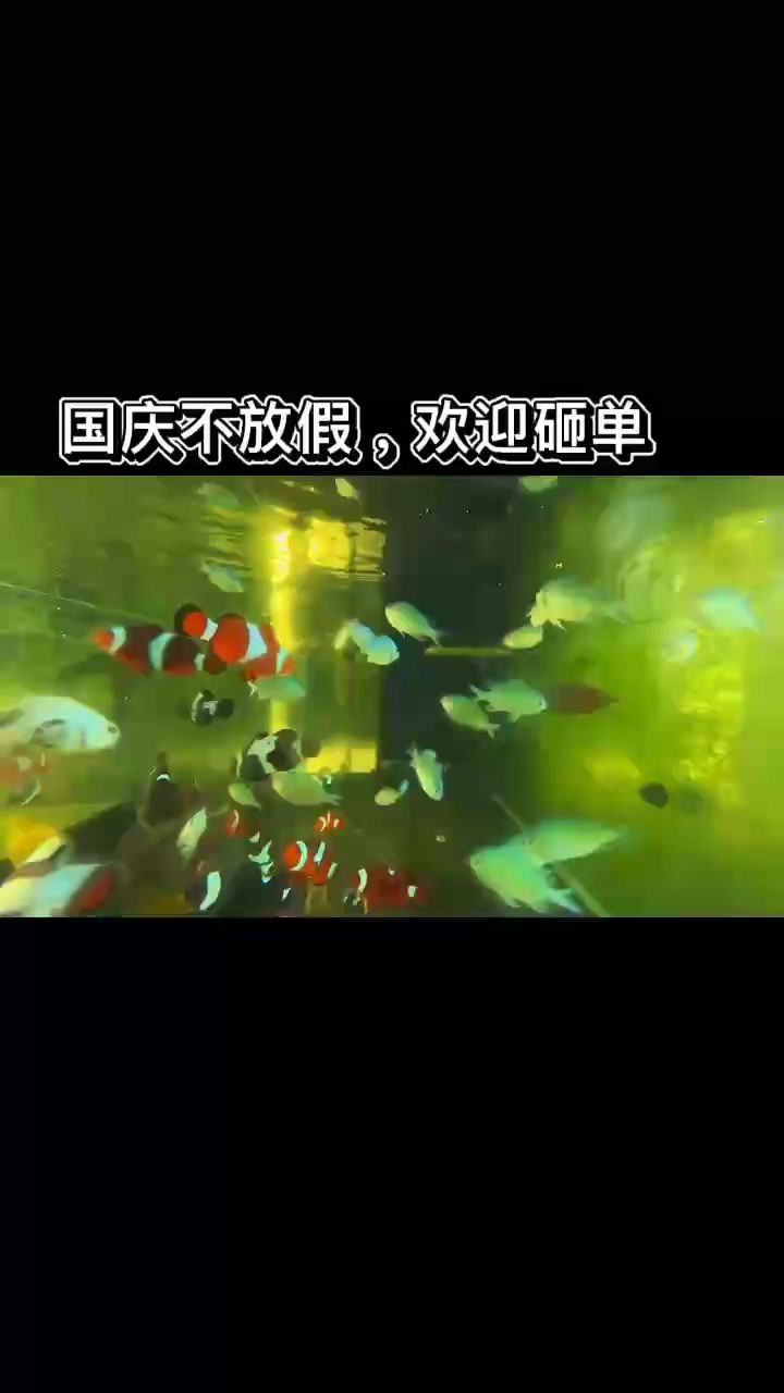 尼莫尼莫（尼莫尼莫，一種源自非洲的神秘文化現(xiàn)象） 尼莫尼莫（尼莫尼莫，一種源自非洲的神秘文化現(xiàn)象） 龍魚論壇
