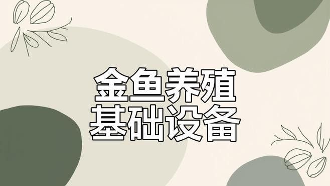 金魚混養(yǎng)需要哪些設(shè)備