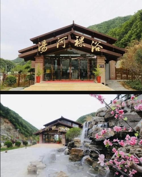 盧氏哪個(gè)水族館龍魚好？祥龍魚場(chǎng)龍魚（盧氏縣水族館祥龍魚場(chǎng)龍魚養(yǎng)殖）