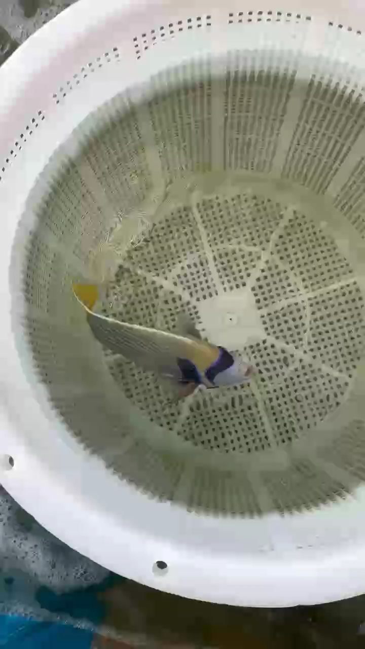 海洋漁場批發