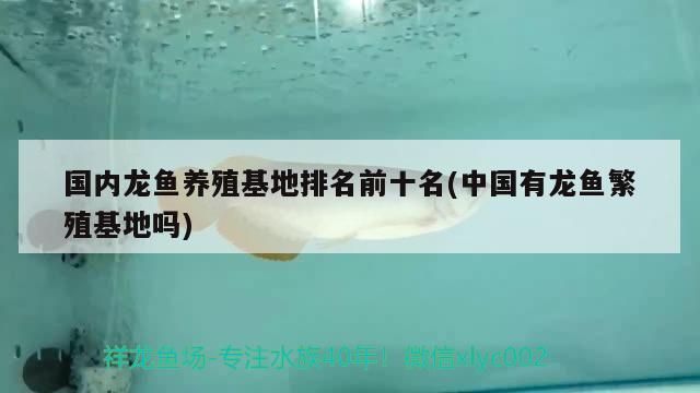 養龍魚老三樣是什么：養龍魚老三樣具體步驟（養龍魚老三樣是什么，養龍魚老三樣具體步驟）