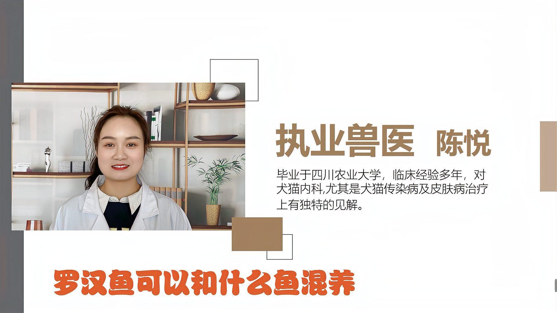 羅漢魚和龍魚混養的最佳比例（探討羅漢魚和龍魚混養的最佳比例時需要了解這兩種魚類的特性）