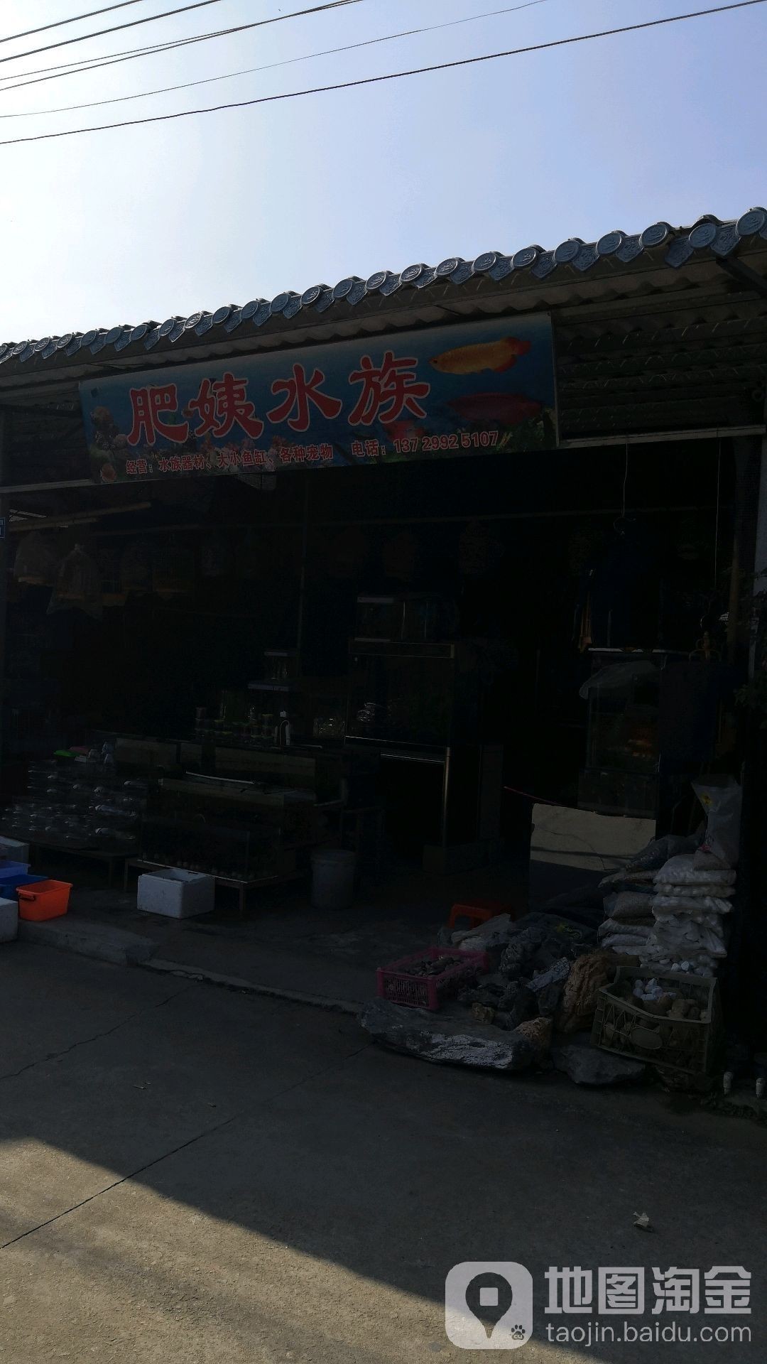 龍眼市場附近有水族市場嗎？（龍眼市場附近哪個水族市場最大） 龍眼市場附近有水族市場嗎？（龍眼市場附近哪個水族市場最大） 龍魚百科 第1張