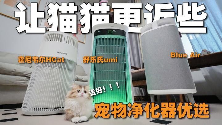 有哪些品牌過濾器適合混養？（探討適合混養的過濾器品牌時需考慮不同種類的過濾系統） 有哪些品牌過濾器適合混養？（探討適合混養的過濾器品牌時需考慮不同種類的過濾系統） 龍魚百科 第6張