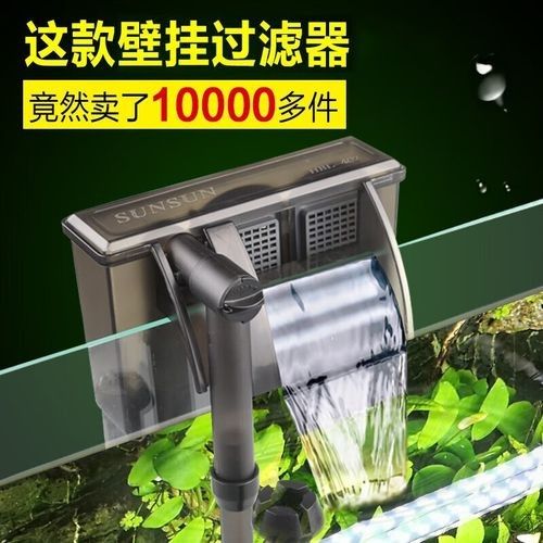 有哪些品牌過濾器適合混養？（探討適合混養的過濾器品牌時需考慮不同種類的過濾系統） 有哪些品牌過濾器適合混養？（探討適合混養的過濾器品牌時需考慮不同種類的過濾系統） 龍魚百科 第2張