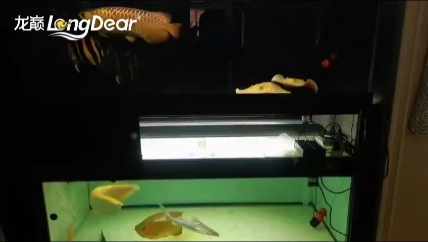 事事順遂，會越來越好，南無阿彌陀佛??????（“事事順遂，會越來越好，南無阿彌陀佛”是一句常用的祈愿語）
