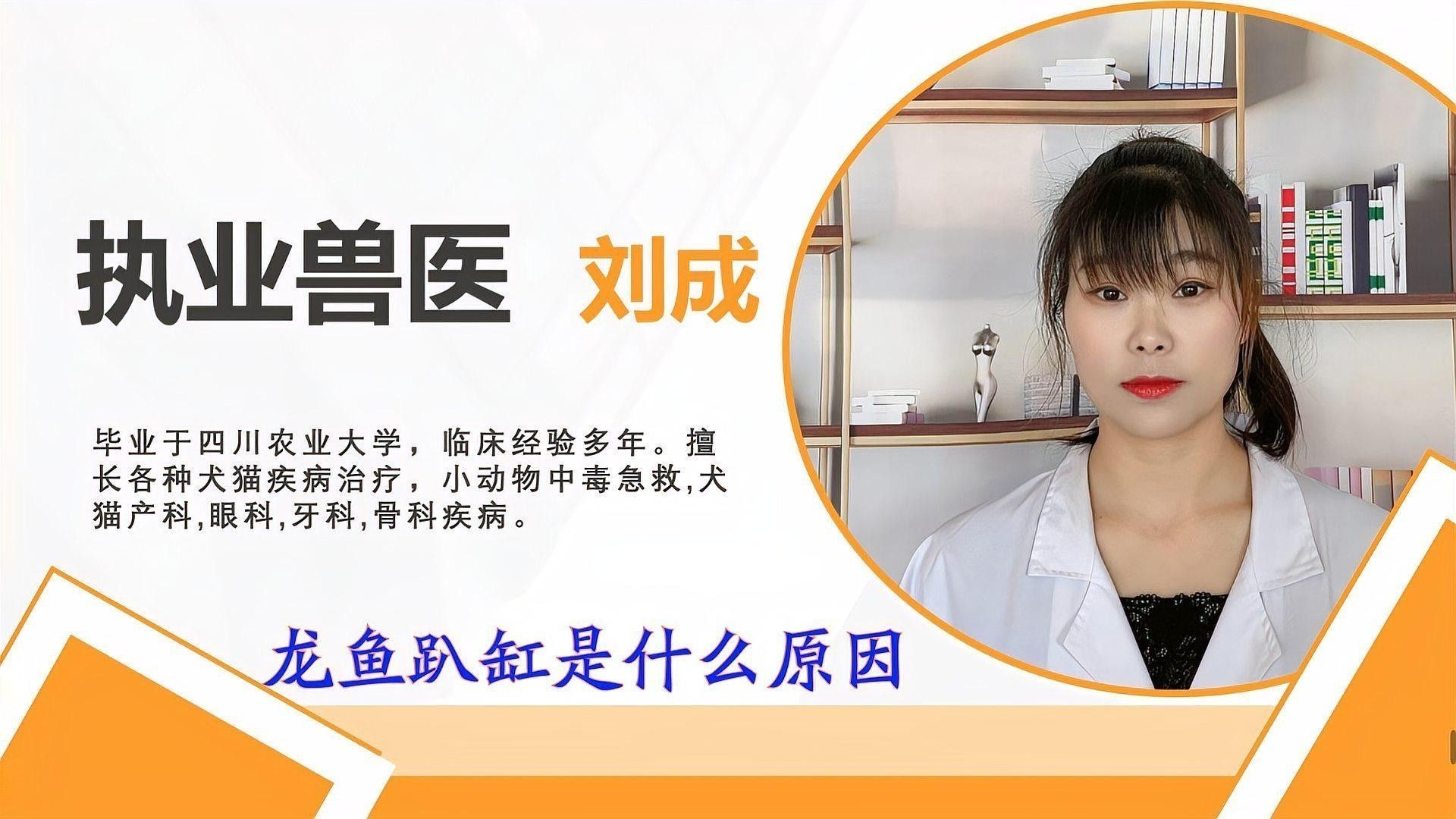 龍魚趴缸如何治療？（龍魚老愛趴缸怎么辦） 龍魚趴缸如何治療？（龍魚老愛趴缸怎么辦） 龍魚百科 第2張