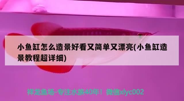金龍魚是新加坡的嗎? 金龍魚是不是新加坡品牌（金龍魚是新加坡的品牌嗎？）