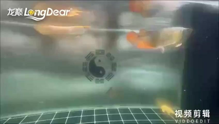 簽到（星光燦爛啟明星評論：簽到系統在企業中的應用與挑戰） 簽到（星光燦爛啟明星評論：簽到系統在企業中的應用與挑戰） 龍魚論壇