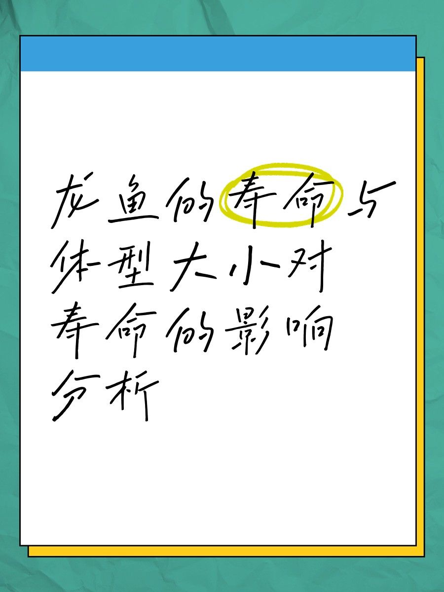 泗水紅龍成年后有多大？（文暄生活科普，超級紅龍,紅龍魚幾年成年能活多久） 泗水紅龍成年后有多大？（文暄生活科普，超級紅龍,紅龍魚幾年成年能活多久） 龍魚百科 第4張