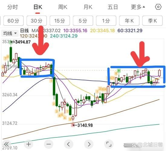 開封龍魚市場的價格走勢（開封市2025年水產品市場監測數據分析開封龍魚市場價格波動）