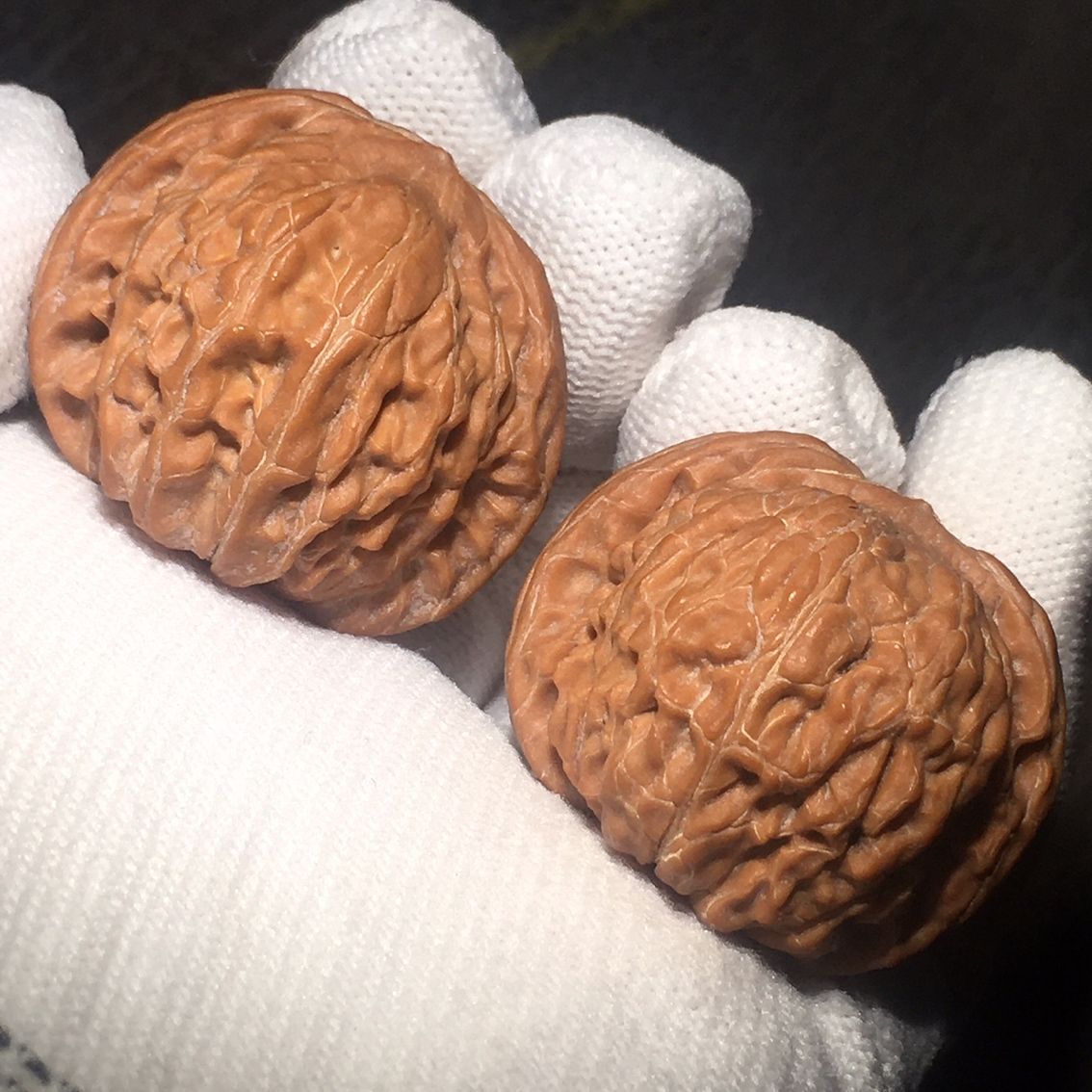 紅皮小磨盤文玩核桃（皮小磨盤文玩核桃） 紅皮小磨盤文玩核桃（皮小磨盤文玩核桃） 龍魚論壇 第1張