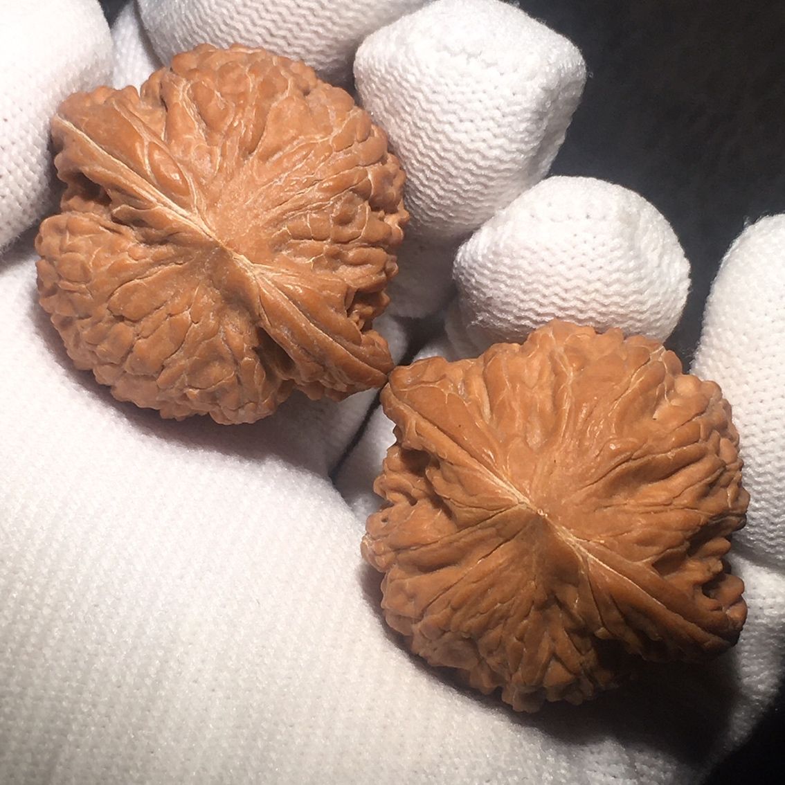 紅皮小磨盤文玩核桃（皮小磨盤文玩核桃） 紅皮小磨盤文玩核桃（皮小磨盤文玩核桃） 龍魚論壇 第2張