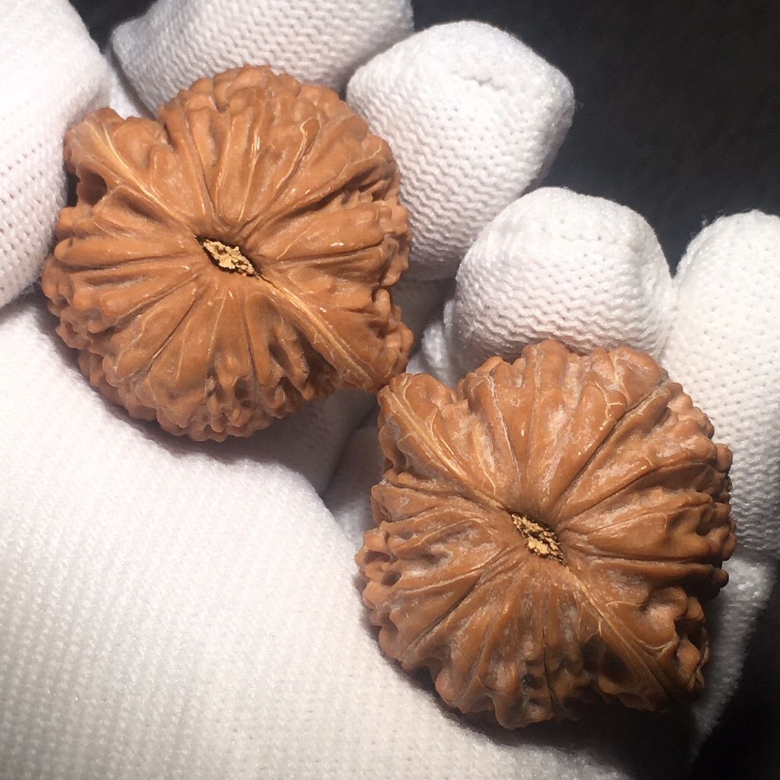 紅皮小磨盤文玩核桃（皮小磨盤文玩核桃） 紅皮小磨盤文玩核桃（皮小磨盤文玩核桃） 龍魚論壇 第4張