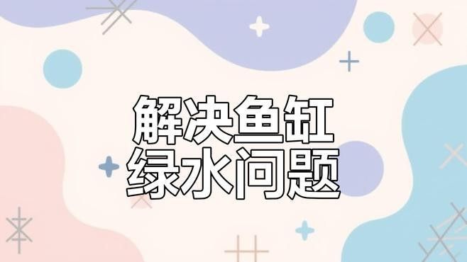 龍魚缸除綠藻多久見效（魚缸生綠藻的原因及去除方法）