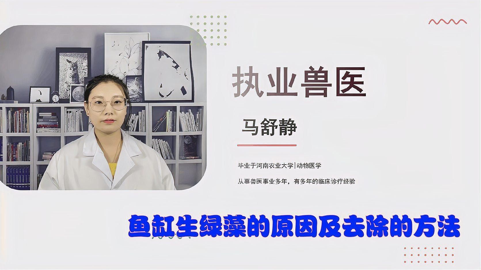 龍魚缸除綠藻多久見效（魚缸生綠藻的原因及去除方法）