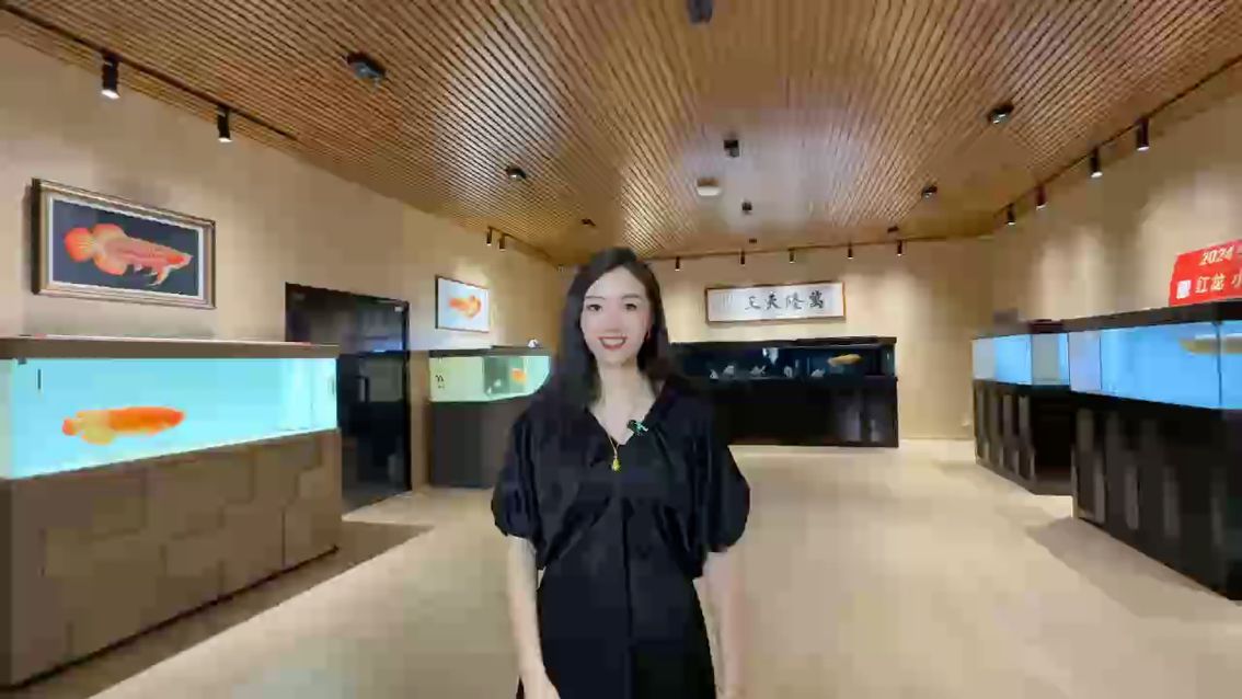 重要通知?? 10.1-10.8日天天在崗?????? 歡迎大駕光臨萬隆天王紅龍漁場????????? 祝大家雙節快樂???????????? #萬隆天王紅龍#紅龍 #龍魚 #觀賞魚(萬隆天王紅龍漁場雙節特別通知) 重要通知?? 10.1-10.8日天天在崗?????? 歡迎大駕光臨萬隆天王紅龍漁場????????? 祝大家雙節快樂???????????? #萬隆天王紅龍#紅龍 #龍魚 #觀賞魚