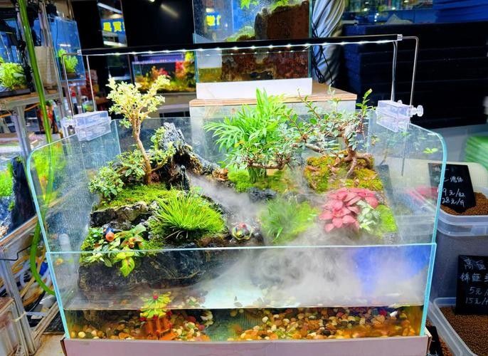 花地灣龍虎匯水族館的聯(lián)系方式（廣州花地灣龍虎匯水族館）