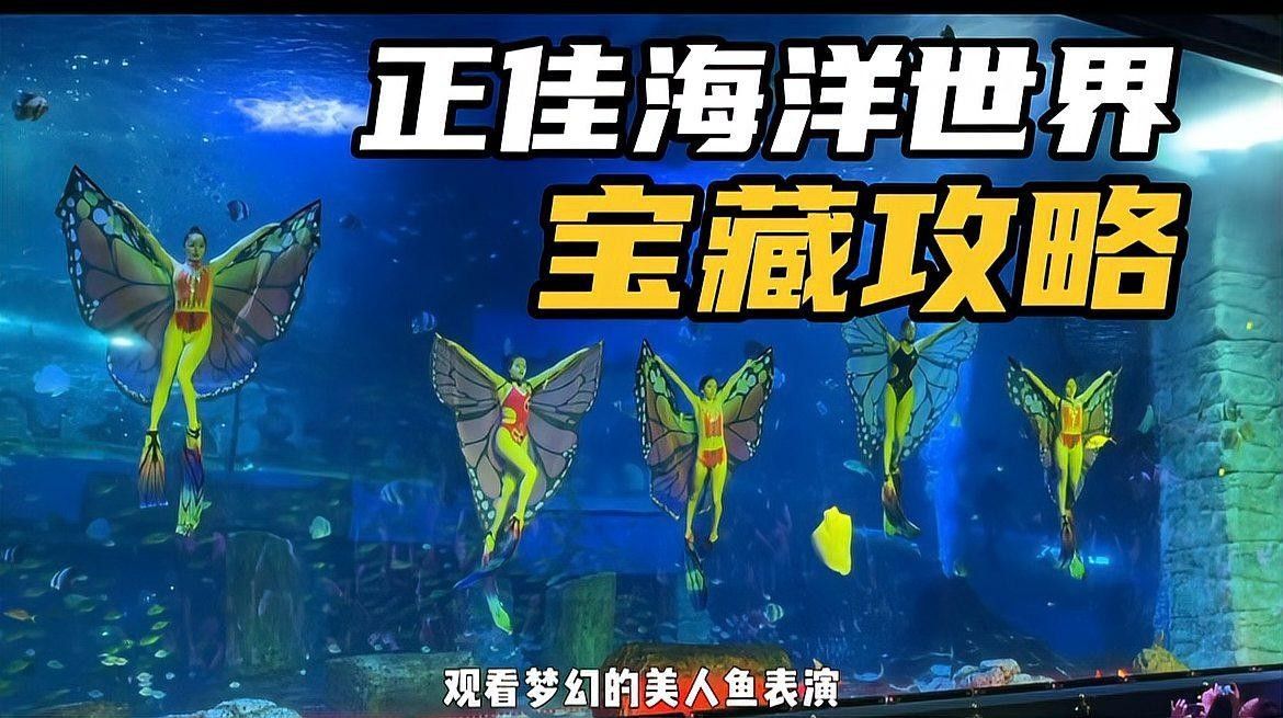 花地灣龍虎匯水族館的聯(lián)系方式（廣州花地灣龍虎匯水族館）