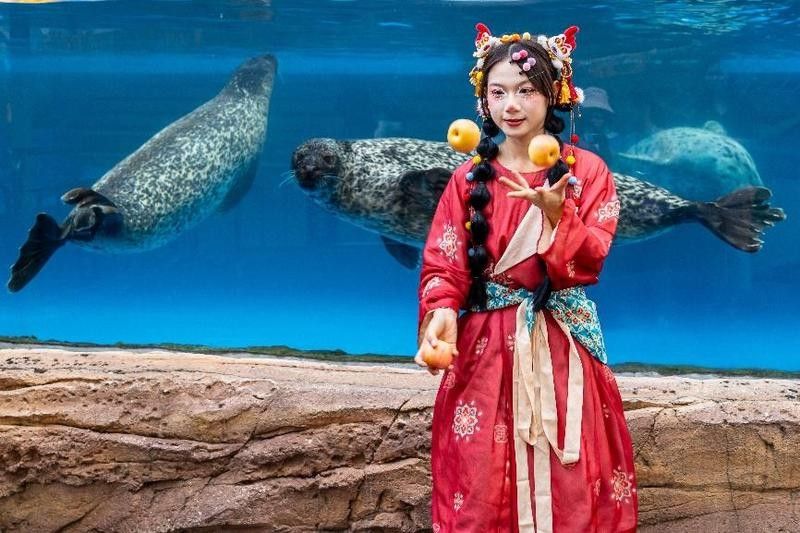 花地灣龍虎匯水族館的聯(lián)系方式（廣州花地灣龍虎匯水族館）