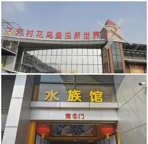 花地灣龍虎匯水族館的聯(lián)系方式（廣州花地灣龍虎匯水族館）