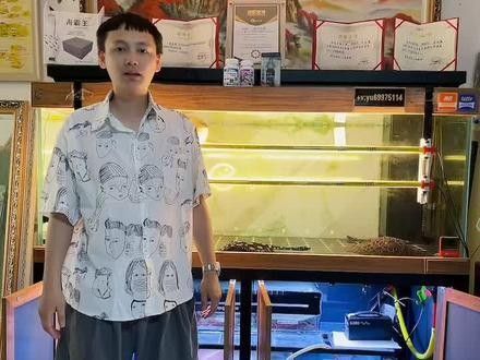 如何預防龍魚內外寄？（如何預防龍魚內外寄）