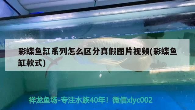 彩蝶魚缸系列怎么區(qū)分真假圖片視頻(彩蝶魚缸款式)（彩蝶魚缸系列怎么區(qū)分真假）