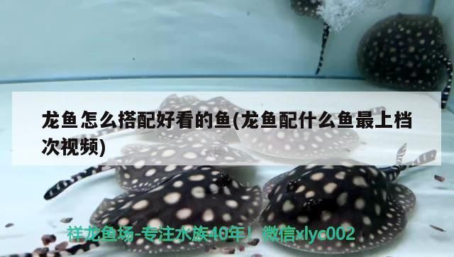 臺州水族館（臺州海洋世界僅有的兩個從上往下參觀的水族館之一）