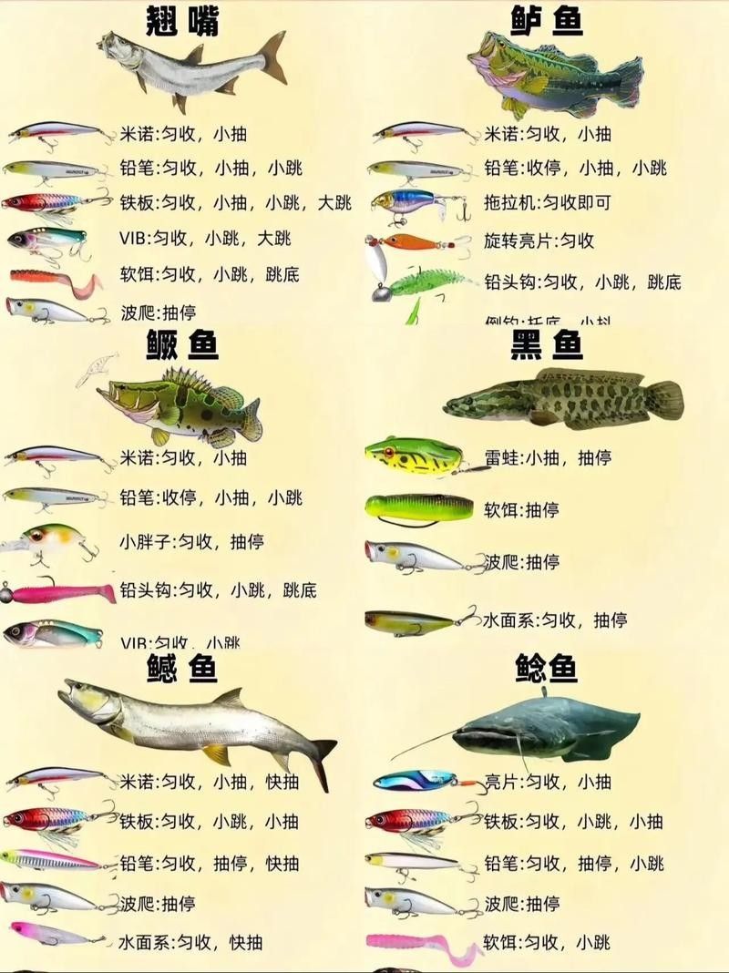 金龍餌料的使用技巧（使用金龍餌料的一些技巧）