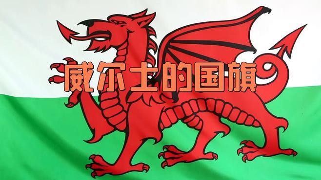 紅龍旗的設(shè)計元素有哪些（紅龍旗的設(shè)計元素包括：紅龍旗的設(shè)計元素有哪些象征意義）