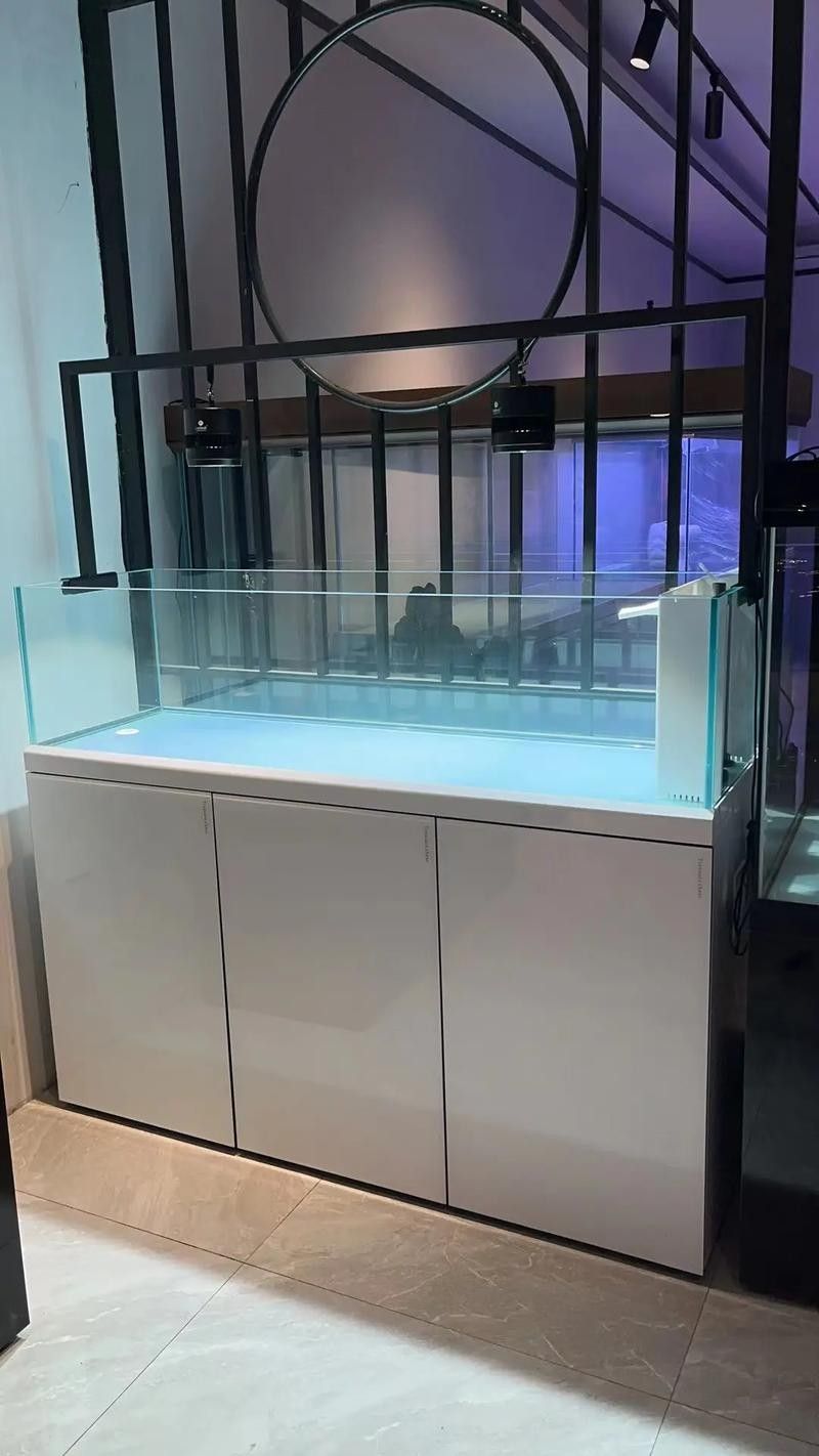 如何聯(lián)系重慶龍魚缸定做店(如何聯(lián)系重慶龍魚缸定做店的方法) 龍魚百科 第1張 如何聯(lián)系重慶龍魚缸定做店(如何聯(lián)系重慶龍魚缸定做店的方法) 如何聯(lián)系重慶龍魚缸定做店(如何聯(lián)系重慶龍魚缸定做店的方法) 龍魚百科 第1張