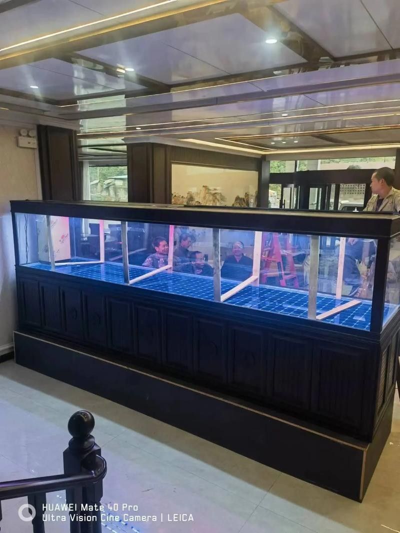 如何聯(lián)系重慶龍魚缸定做店(如何聯(lián)系重慶龍魚缸定做店的方法) 龍魚百科 第5張 如何聯(lián)系重慶龍魚缸定做店(如何聯(lián)系重慶龍魚缸定做店的方法) 如何聯(lián)系重慶龍魚缸定做店(如何聯(lián)系重慶龍魚缸定做店的方法) 龍魚百科 第5張