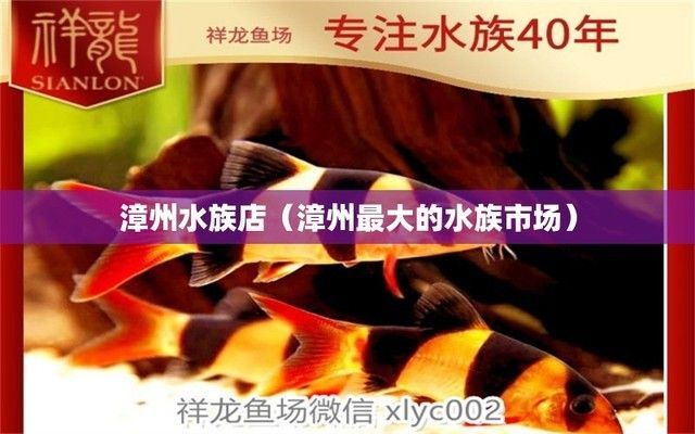 蘇輕雨在《蝕骨危情》中的結局是什么，《蝕骨危情》原著中沒有蘇輕雨這個角色的結局是什么