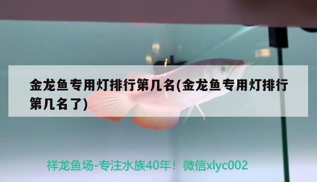 金龍魚專用燈排行第幾名(金龍魚專用燈排行第幾名了)（燈具品牌最新排行榜）
