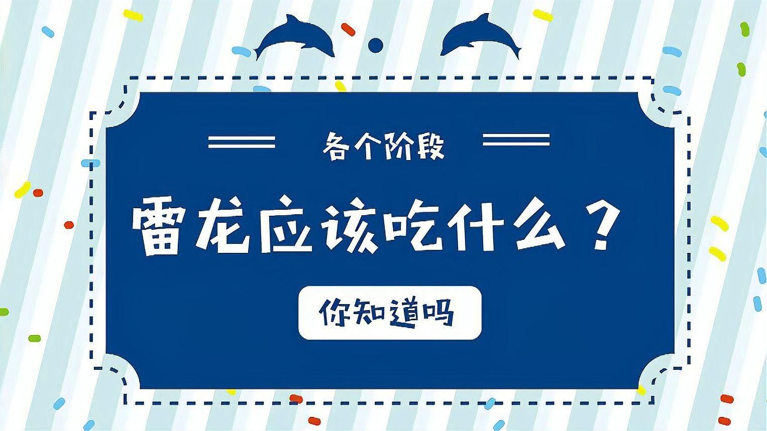 雷龍魚多久喂一次合適？（各階段的雷龍應(yīng)該怎么喂養(yǎng)） 雷龍魚多久喂一次合適？（各階段的雷龍應(yīng)該怎么喂養(yǎng)） 龍魚百科 第4張