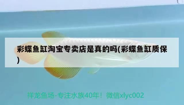 彩蝶魚缸淘寶專賣店是真的嗎(彩蝶魚缸質(zhì)保)（彩蝶魚缸淘寶專賣店是真的嗎）