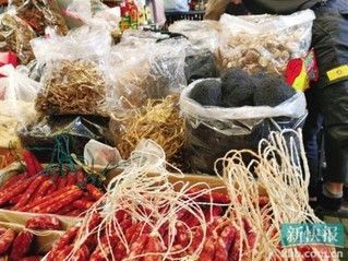 廣州水族批發(fā)市場在哪里有賣的：廣州水族批發(fā)市場 廣州水族批發(fā)市場在哪里有賣的：廣州水族批發(fā)市場 觀賞魚百科 第1張