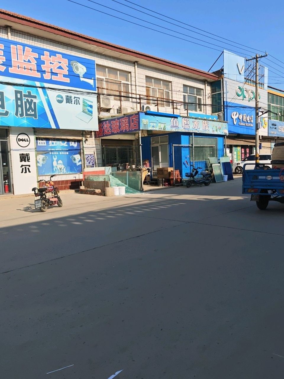 辛集哪個(gè)水族館龍魚(yú)好？祥龍魚(yú)場(chǎng)龍魚(yú)（辛集哪個(gè)水族館的龍魚(yú)好，祥龍魚(yú)場(chǎng)龍魚(yú)，魚(yú)兒水族店）