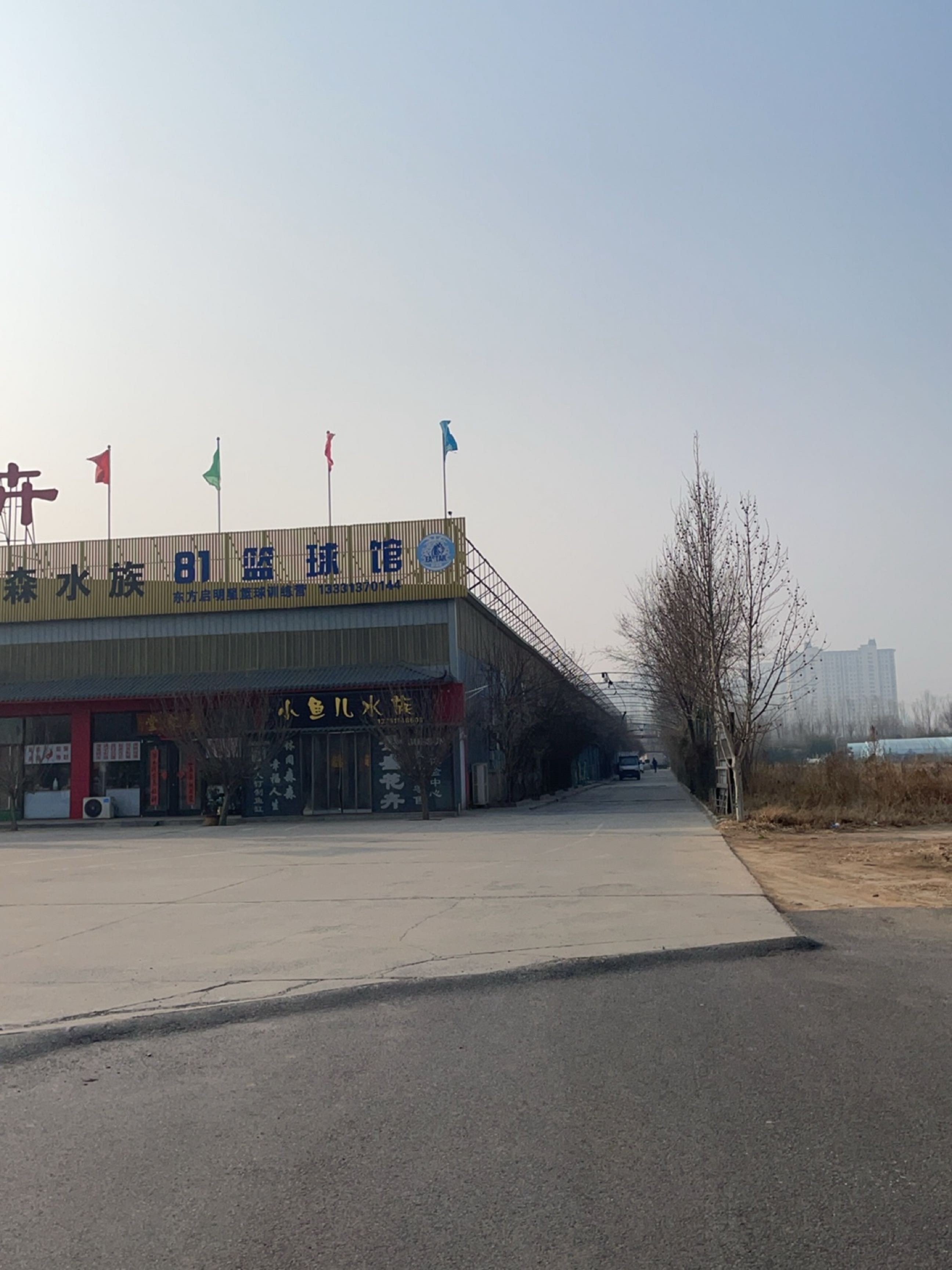 辛集哪個(gè)水族館龍魚(yú)好？祥龍魚(yú)場(chǎng)龍魚(yú)（辛集哪個(gè)水族館的龍魚(yú)好，祥龍魚(yú)場(chǎng)龍魚(yú)，魚(yú)兒水族店）