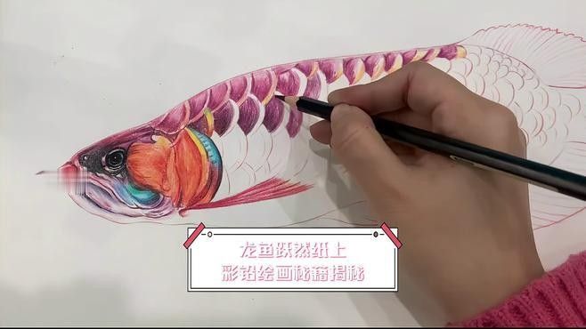 龍魚繪畫圖片欣賞（魚繪畫圖片欣賞：龍魚）