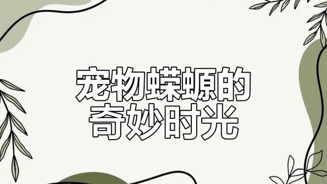 蠑螈有哪些互動行為（蠑螈在自然環(huán)境中表現(xiàn)出以下幾種互動行為） 蠑螈有哪些互動行為（蠑螈在自然環(huán)境中表現(xiàn)出以下幾種互動行為） 龍魚百科 第1張