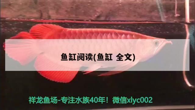 魚缸閱讀(魚缸全文)（關于魚缸閱讀和魚缸全文）