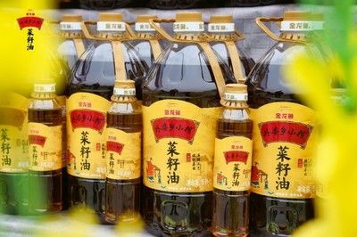 龍魚一邊掉眼睛正常嗎（龍魚一邊掉眼睛正常嗎圖片）（龍魚一邊掉眼睛正常嗎）