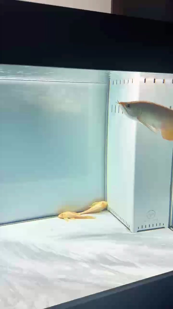 成長（個人成長的必經之路）