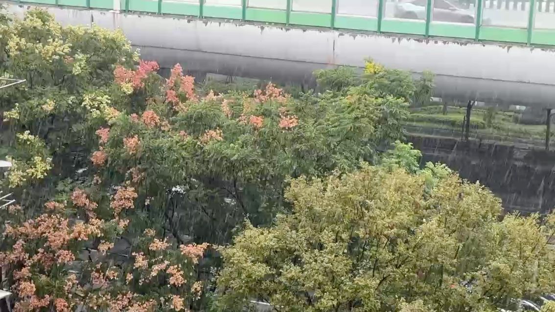 魚缸用增氧泵價格是多少:魚缸增氧機-xtrac增氧機-xtrac增氧機 雨(雨的多面性及其對自然環境和社會生活的深遠影響) 龍魚論壇 雨(雨的多面性及其對自然環境和社會生活的深遠影響) 雨(雨的多面性及其對自然環境和社會生活的深遠影響) 龍魚論壇