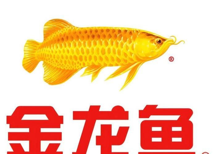 金龍魚商標(biāo)有哪些類別（丨食品行業(yè)商標(biāo)注冊(cè)類別全解析金龍魚商標(biāo)價(jià)值評(píng)估） 金龍魚商標(biāo)有哪些類別（丨食品行業(yè)商標(biāo)注冊(cè)類別全解析金龍魚商標(biāo)價(jià)值評(píng)估） 龍魚百科 第3張