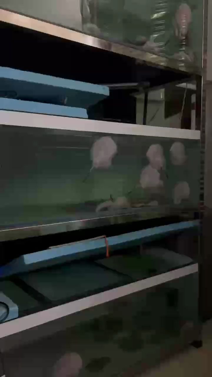 快樂就是……（快樂與個人目標的實現密切相關，快樂與人際關系的質量有關）