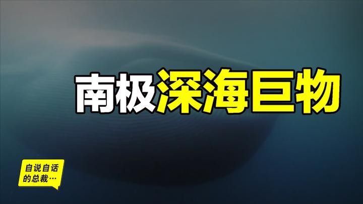 如何監(jiān)測(cè)深海龍魚發(fā)光器的狀態(tài)？（揭秘深海龍魚發(fā)光器的工作原理）